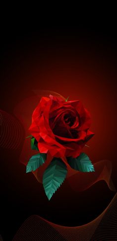 hd rose wallpapers for mobile wallpaperpulse android pinterest