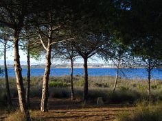 48 Ideas De Parc Natural De Las Lagunas De La Mata Y Torrevieja Torrevieja Guardamar Del Segura Lagunas