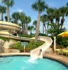 5 Must Do Activities At Hyatt Regency Grand Cypress In Orlando Hyatt Regency Grand Cypress Orlando Fl Resort Reviews Tripadvisor