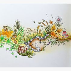 Take A Peek At This Great Artwork On Johanna Basfords Colouring Gallery