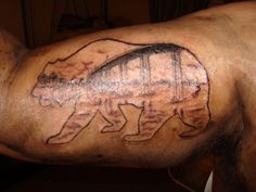 California Bear With San Diego City I Want The Outline Like This California Bear With San Diego City I Want The Outline Like This