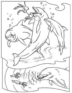 Three Dolphin Hunting With Sonar Sea Animals Coloring Page
