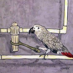 african grey parrot FRIENDS coffee shop bird art GLOSSY PRINT 13x19