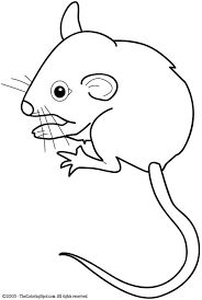 mouse template