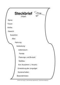 Pantoffeltierchen Steckbrief Pantoffeltierchen Steckbrief