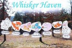 Whisker Haven Palace Pets Birthday Party- DIY Idea Flag Hanging Banner- Pumpkin, Treasure, Petite, Mr. Featherbon, Dreamy, Sultan, Berry If your throwing a P Hanging Banner, Diy Hanging, Birthday Party Invitations, Birthday Parties, Diy Party, Party Ideas, Palace Pets, Cinderella Party, Mermaid Parties