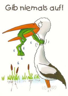 Frosch Und Storch Frosch Und Storch