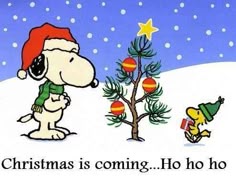 264 best snoopy christmas images on pinterest snoopy christmas