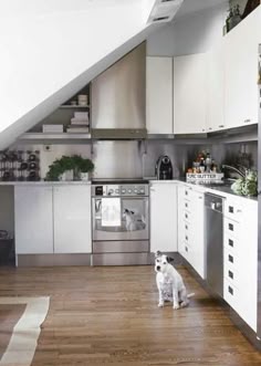 kitchen under stairs http://ohua88/building-a-unique-kitchen kitchen under stairs http://ohua88/building-a-unique-kitchen