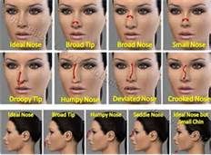 19 best nose shapes images on pinterest faces flawless makeup and