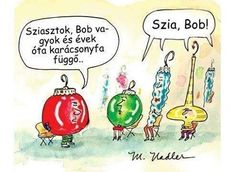 egyetlen könyv szabadság