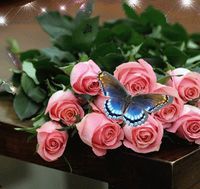 vänskap och blommor dating 2 typer av datering fossiler