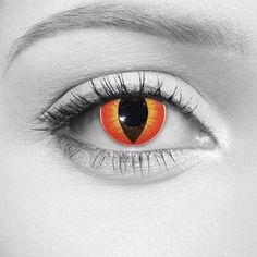 102 best fun contacts