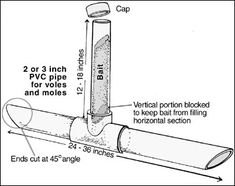 vole bait station
