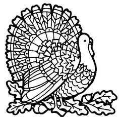 Thanksgiving Coloring Pages