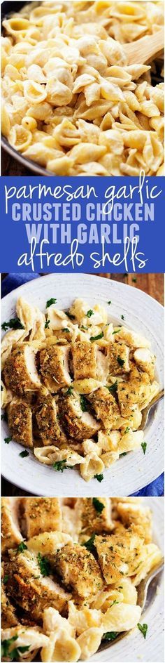 This Parmesan Garlic Crusted Chicken with Garlic Alfredo Shells is PHENOMENAL! The homemade garlic alfredo sauce is so creamy and perfect! One of the best meals you will make! Italian Recipes, Lasagne, Spaghetti, Crusted Chicken, Alfredo Sauce, Main Dish Recipes, Pasta Dishes, Lasagna