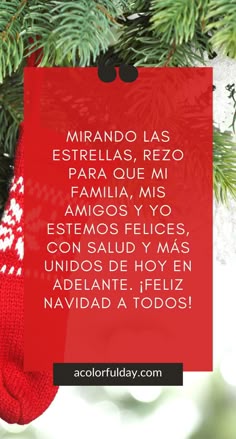 340 Ideas De Navidad Navidad Frases De Navidad Imágenes De Navidad