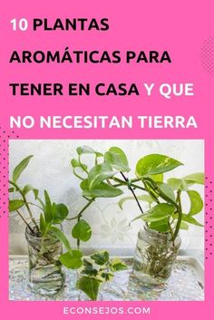 Isabel Leon Isabelion Perfil Pinterest