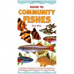 ABCs of Community Tropical Fish