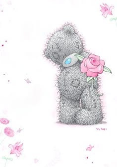25 best taddy teddy