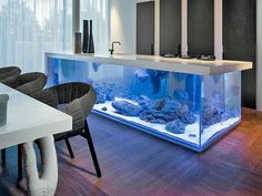 The aquarium inside Bill Gate\'s house. I would definitely live ... The aquarium inside Bill Gate\'s house. I would definitely live ...