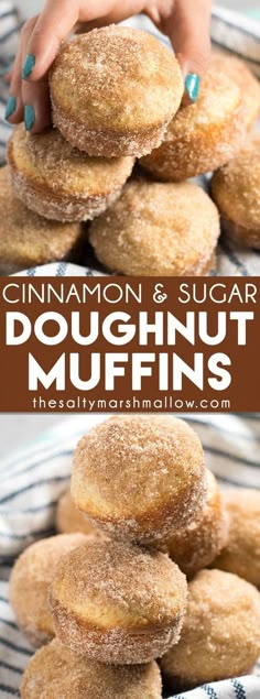 Cinnamon Sugar Donut Muffins: An easy recipe for cinnamon sugar muffins that taste like an old fashioned donut! These simple muffins bake up in no time and are perfect for breakfast. Breakfast, Muffin, Foodies