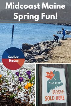 313 Best Maine Restaurants Images On Pinterest In 2018 New England Midcoast Maine Spring Fun