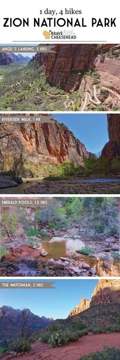 Can I Take A Dog To Dinosaur National Park Can I Take A Dog To Dinosaur National Park