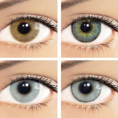 11 best contact lenses
