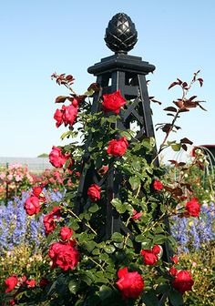 10 Best Garden Obelisks Images Trellis Patio Plants Rose Pillar Malmaison Garden Obelisks Www Clic Elements Co Uk Arches Arbours Trellises And Planters