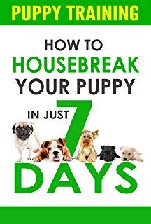 Puppy Training How To Housebreak Your Puppy In Just 7 Days Puppy