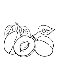 Fruits Coloring Pages Printable http://procoloring.com/fruits ... Fruits Coloring Pages Printable http://procoloring.com/fruits ...