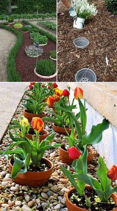 15 one day garden