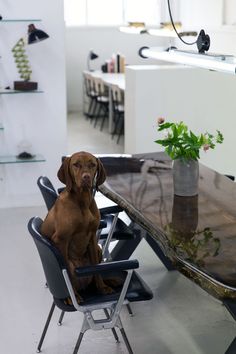 10+ Best VANOUDS AMSTERDAM TABLES images | resin table 10+ Best VANOUDS AMSTERDAM TABLES images | resin table