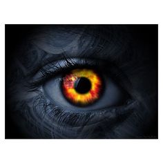 1066 best polyvore images