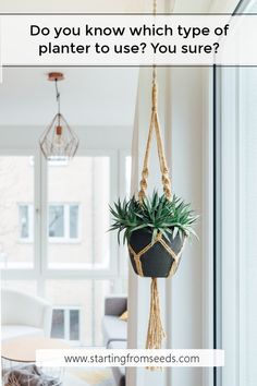 Different Types Of Planters For Your Home Decorating Your Home Diy Home Decor Indoor Different Types Of Planters For Your Home Decorating Your Home Diy Home Decor Indoor