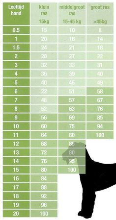 pomeranian growth chart new pom puppy info puppy pomeranian growth chart calculator