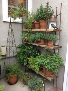 Herb Garden Ideas For A Balcony angela-herb garden for a small patio.. perfect summertime project Herb Garden Ideas For A Balcony angela-herb garden for a small patio.. perfect summertime project