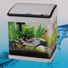 187 best best aquarium