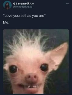 110 2020 Ideas In 2021 Words Relatable Feelings