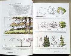 Architecture Drawing Trees architecture drawing trees inspiration ideas 14768 decorating Architecture Drawing Trees architecture drawing trees inspiration ideas 14768 decorating