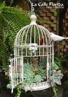 Welche Kauffaktoren es vorm Bestellen die Design vogelkäfig zu beurteilen gibt