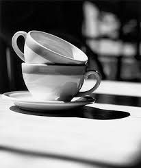29 Best Black White Photography Images On Pinterest Amazing Still Life Photography By Holly Lackner Creates Beautiful Photographs And Prints In New York City