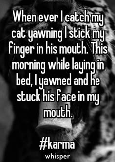 I'm putting this just because whenever my cat yawns it put my finger in her mouth! I thought I was the only one! Fandom, Funny Texts, Stupid Funny Memes, Funny Relatable Memes