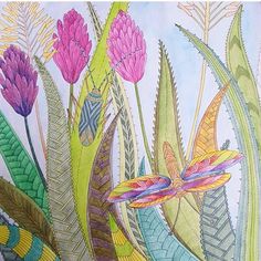 Agave Aloe Moth Tropical Wonderland Millie Marotta