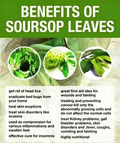 29 Sour Sop Tea And Benefit Ideas Benefit Graviola Tea 29 Sour Sop Tea And Benefit Ideas Benefit Graviola Tea