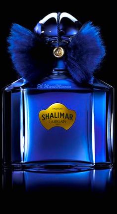 230 best blue perfume