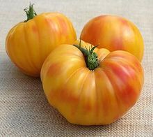 Oaxacan Jewel Tomato Seeds Beautiful tomatoes Comb S//H See our store!