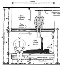 MUEBLES DOMOTICOS: MEDIDAS ANTROPOMETRICAS PARA DISEÑAR CAMAS Y CAMAROTES House Design, Interior, Dormitory, Hotels Room, Kamar Tidur, Hostel Room, Space Planning, Bunk Rooms, Ergonomics