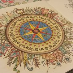 Adult Coloring Book Enchanted Forest Johanna Basford Compass Done